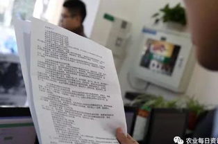 廉政档案房产情况怎么填