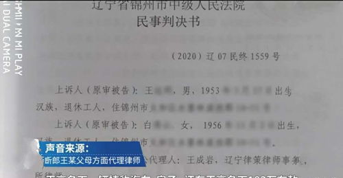 房产继承怎么诉讼上诉