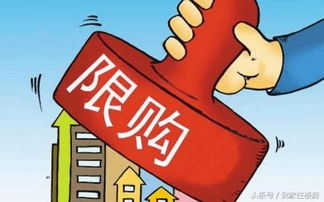 放弃房产怎么表达