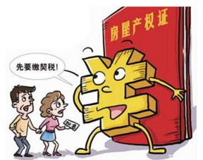 房产契税怎么交最新