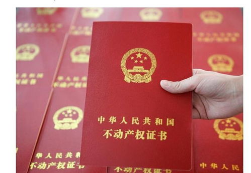 房产证没拿到怎么读小学
