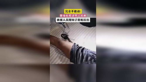 房产直播怎么下钩子