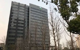 上海房子怎么盘点房产