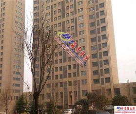 武汉瑞云房产代理怎么样