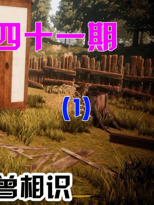 房产达人院子怎么买