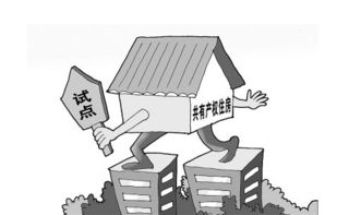 怎么认购公共产权房产