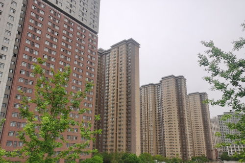 老家房产怎么分