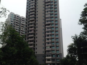 重庆观恒房产怎么样