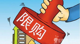 房产怎么交保险
