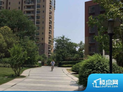 新乡普华房产怎么样
