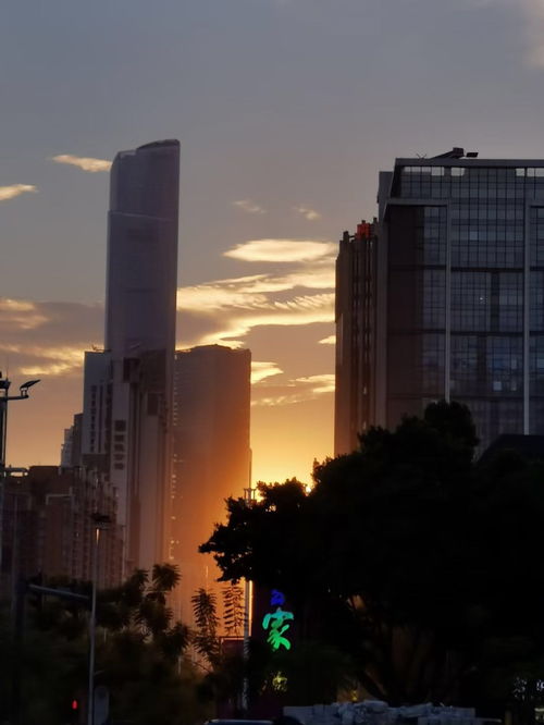 泰安无房产怎么落户