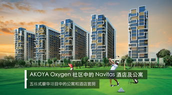 海外房产怎么分