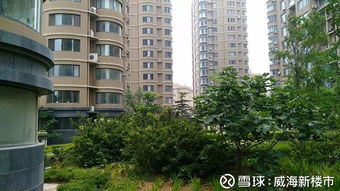 威海希诺房产怎么样
