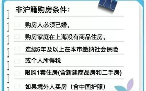本市房产情况怎么填