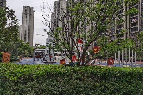 余江友和房产中介怎么样