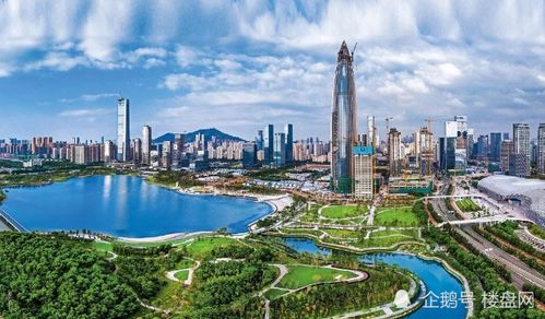 深圳怎么认定有一套房产