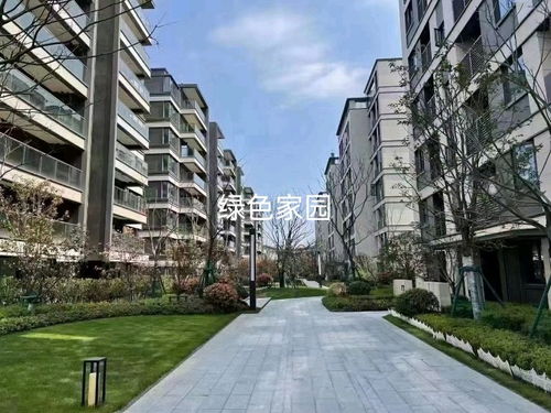 城市服务怎么查询房产