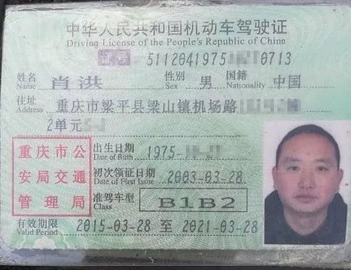 怎么办出租的商铺房产证