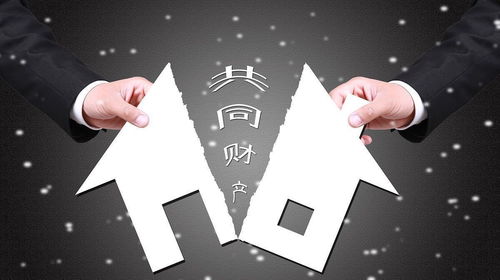 房产怎么变为共有