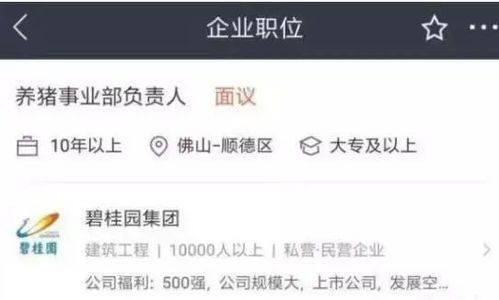 房产甲方怎么赚钱