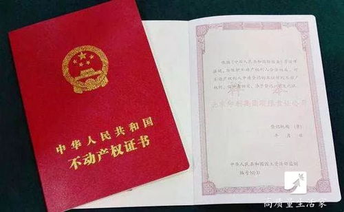 买了新房怎么分房产证