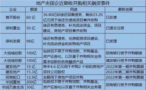 房产项目怎么写