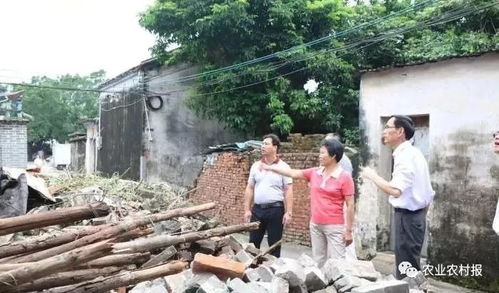 怎么查农民房产