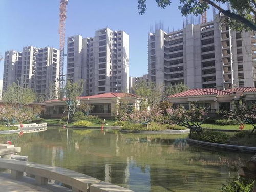 思家房产怎么样
