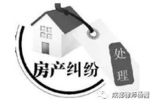 房产纠纷官司怎么写再审