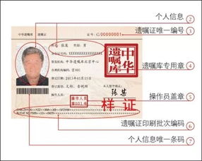 户口本里的房产证怎么查