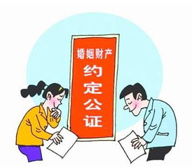 公证房产怎么划分