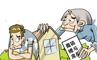 农村怎么过户房产