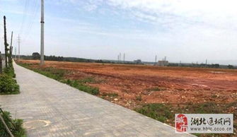 土地怎么分割房产