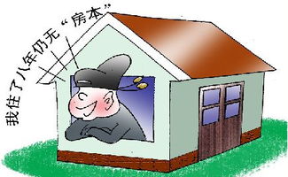 房产没分怎么办