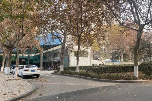 东篱房产怎么样