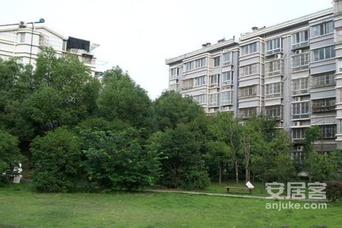 泌阳方圆房产中介怎么样
