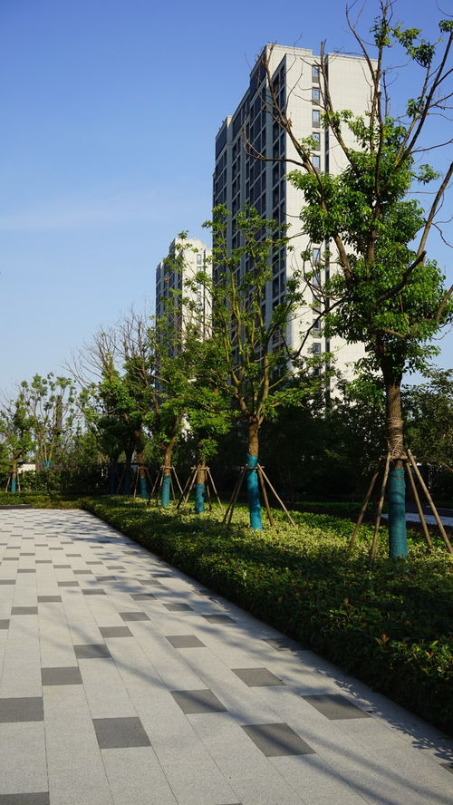 南通中创仁恒房产怎么样