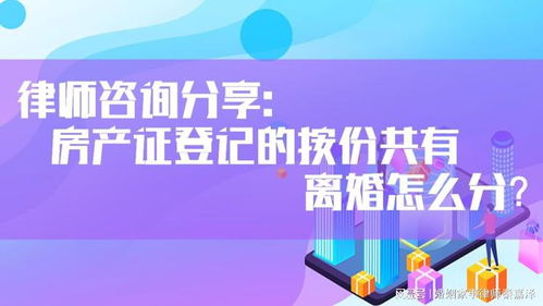 共享房产怎么联系