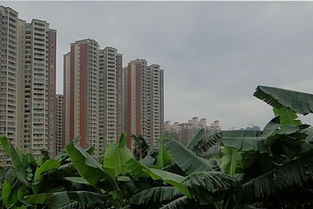 无锡德道房产怎么样