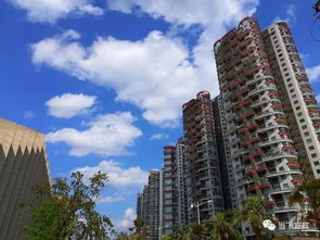 宜宾房产怎么查