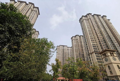 怎么查南阳房产