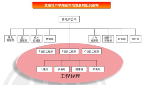 房产项目经理 怎么