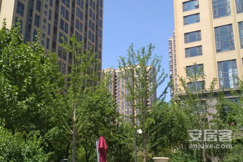 北京麦田房产怎么样