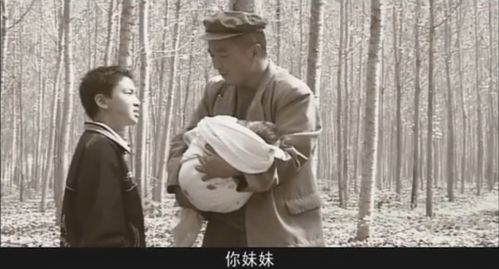 结婚16年房产怎么分红
