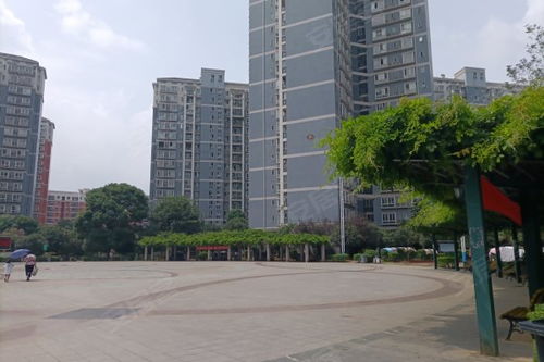 桓台新歌房产怎么样