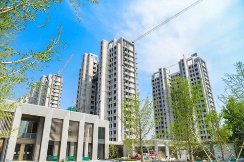 桓台新歌房产怎么样