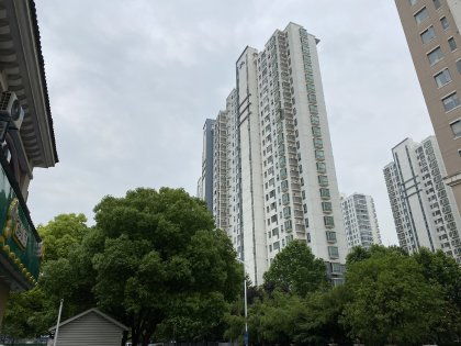 嘉善绿林房产中介怎么样
