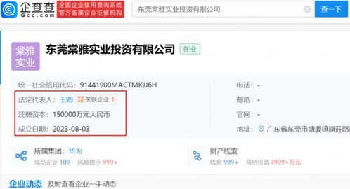 房产视频内容怎么发