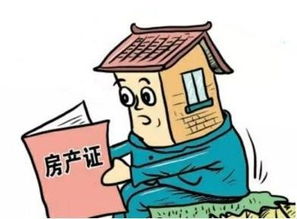 兄弟强占房产怎么处理