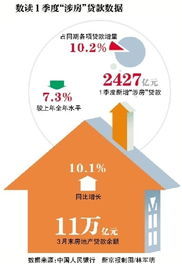 房产新增王怎么介绍